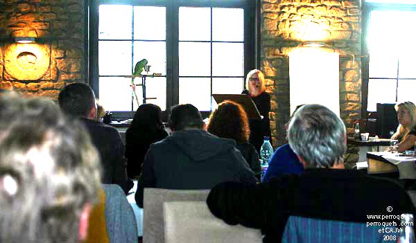 Luxembourg Seminar on parrots.