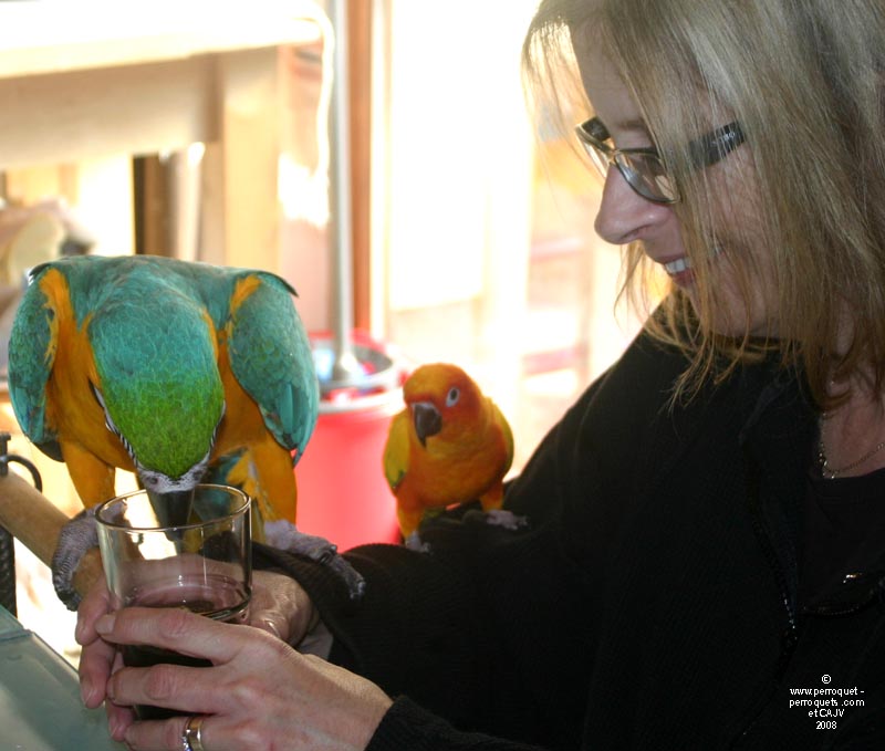 Johanne Vaillancourt at the Seminar on the Behavior of Pet Parrots in Luxembourg in 2008.