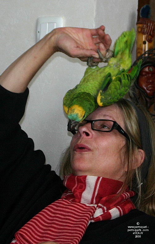 Johanne Vaillancourt at the Seminar on the Behavior of Pet Parrots in Luxembourg in 2008.