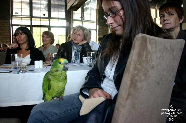 Participants at Seminar on the Behavior of Pet Parrots in Luxembourg in 2008.