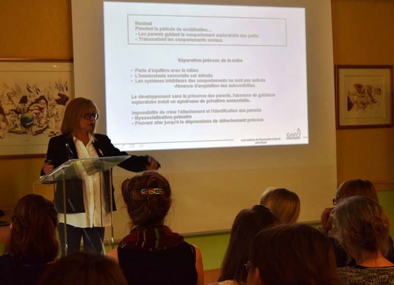 ClassRoom  The Roots of Agression in Parrot