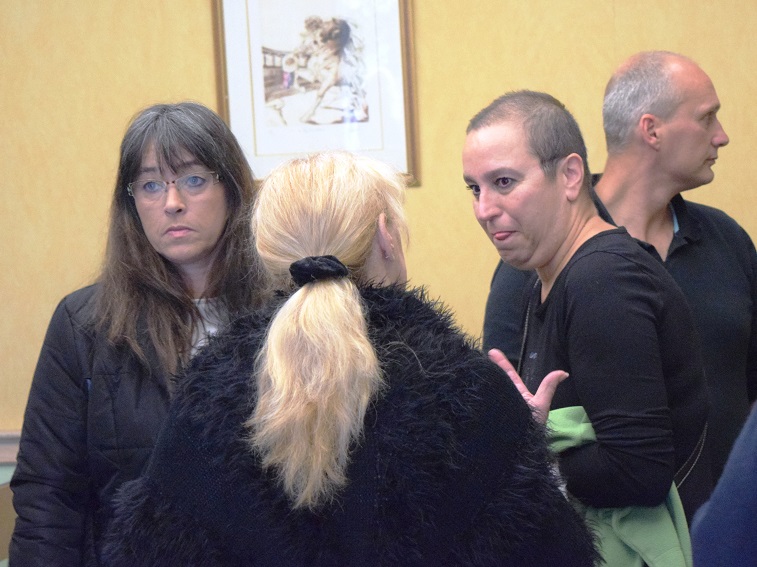 ClassRoom  The Roots of Agression in Parrot