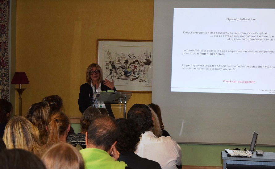 ClassRoom  The Roots of Agression in Parrot