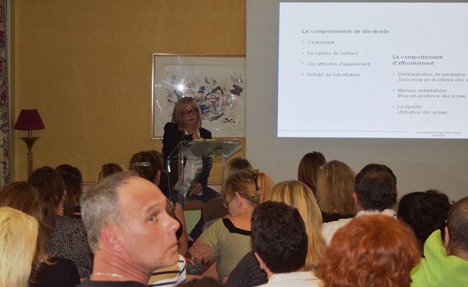 ClassRoom  The Roots of Agression in Parrot