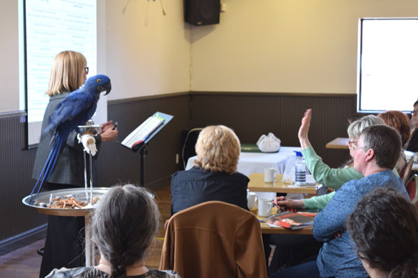 The Roots of Aggression in Parrots