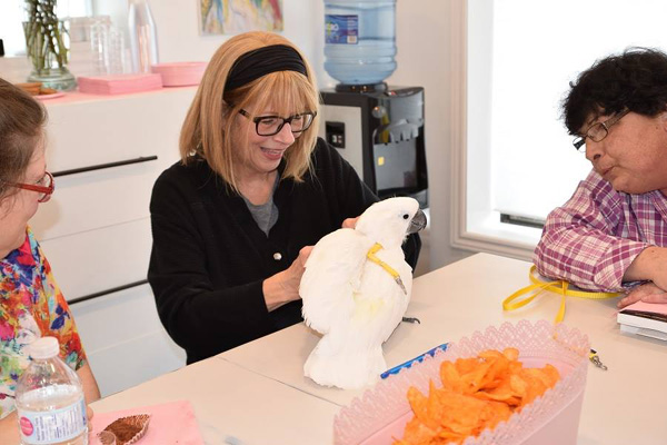 No choice to put on the harness. The door opens too often.