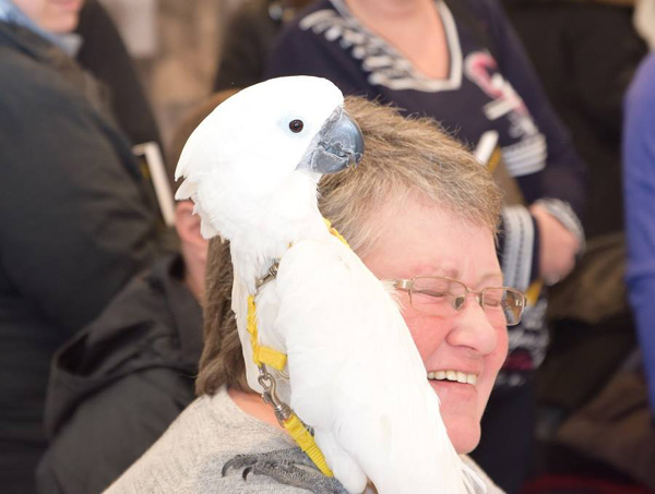 Caroline in the vaps.