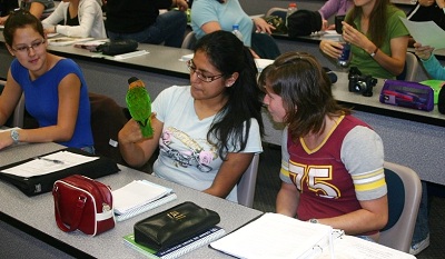Photos of Johanne Vaillancourt at St-Hyacinthe CEGEP in 2007.