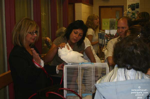 Johanne Vaillancourt at AQAP 2009 June: welcome with a cockatoo.