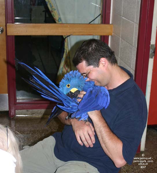 Johanne Vaillancourt at AQAP 2007 June: JLR and Molly.