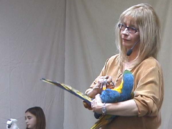 JVAC Club, Parrot information 2003 to 2005.