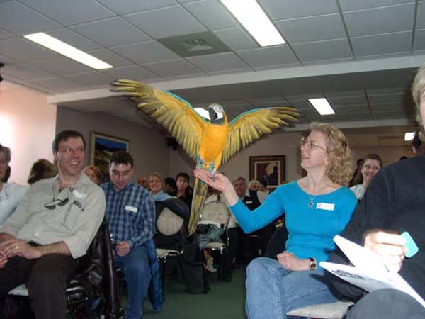 JVAC Club, Parrot information 2003 to 2005.