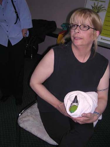 JVAC Club, Parrot information 2003 to 2005.