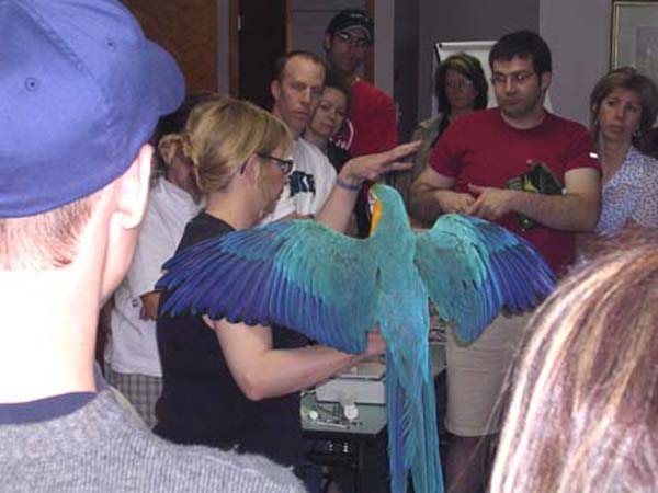 JVAC Club, Parrot information 2003 to 2005.