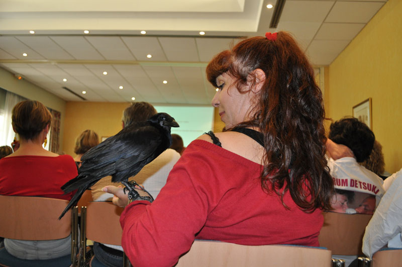 Johanne Vaillancourt at Fontainebleau in 2011 to speak on parrots.