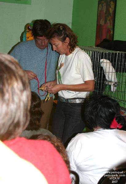 Johanne Vaillancourt and students at Nice Seminar on Pet Parrot in 2007.