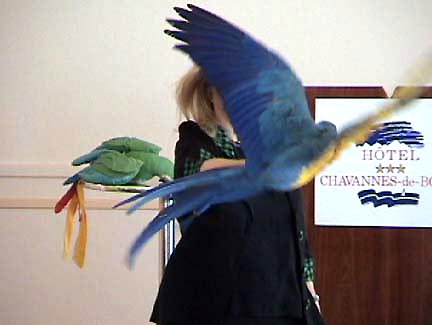 Johanne at the Swiss Seminar on parrots. 